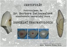 Skm_c250i25120208192