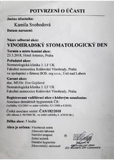 Vinohradský stoma. den